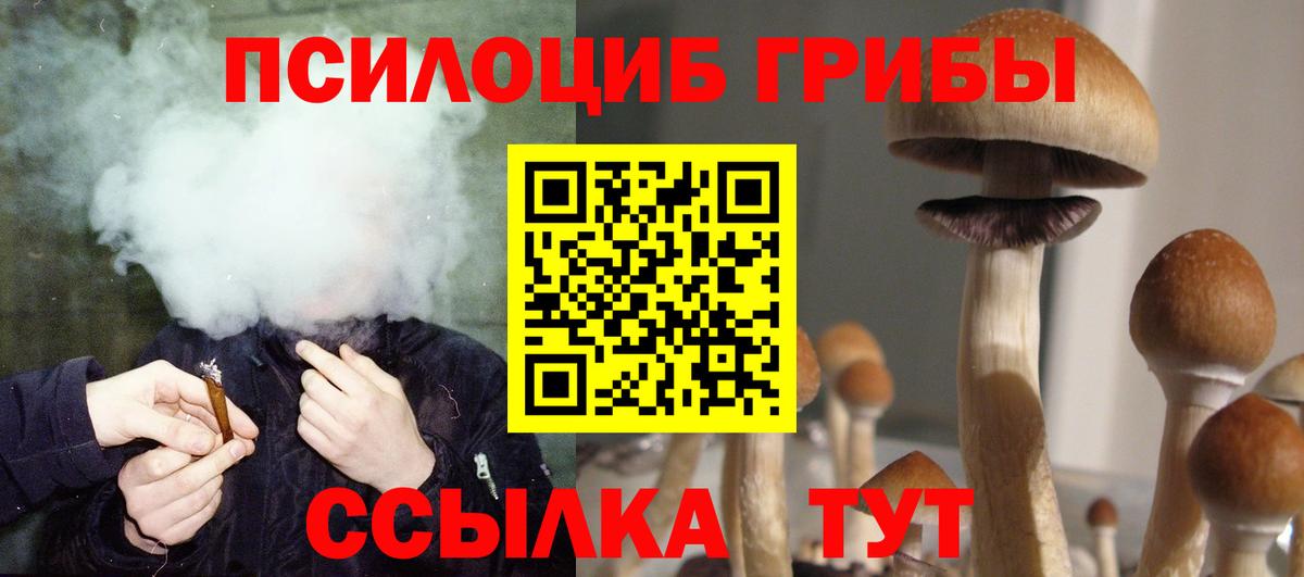 Псилоцибиновые грибы GOLDEN TEACHER Менделеевск
