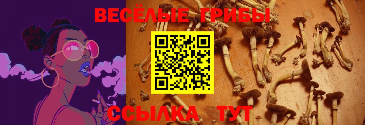 Псилоцибиновые грибы Cubensis  Вход с VPN  Галлюциногенные грибы мицелий  Менделеевск 